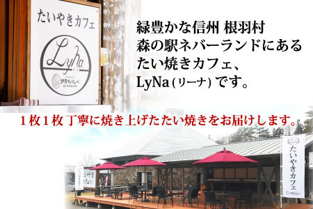 大袋入り たい焼き つぶあん 8枚入り 羽根つき 大袋 訳あり 訳