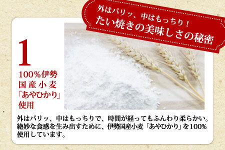 大袋入り たい焼き つぶあん 8枚入り 羽根つき 大袋 訳あり 訳