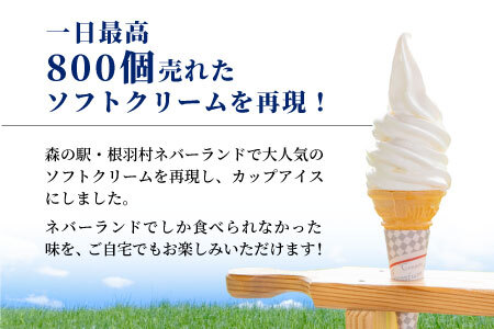 着色料・香料不使用！ 生ソフトクリームアイス 8個セット 5000円