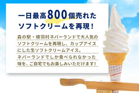 食べ比べ！生ソフトクリームアイス＆バニラアイスクリーム 16個セット ミルク 牛乳 バニラ アイス ソフトクリーム