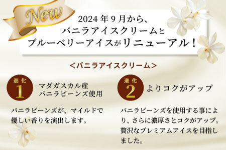 バニラビーンズ香る！バニラアイスクリーム＆いなぶのブルーベリーアイス 8個セット 5000円 アイスクリーム ブルーベリー