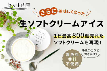 よくばりセット★生ソフトクリームアイス 2個＆たい焼き (つぶあん) 5枚セット　アイスクリーム　ソフトクリーム　アイス　たい焼き　和菓子　スイーツ 【スピード発送】