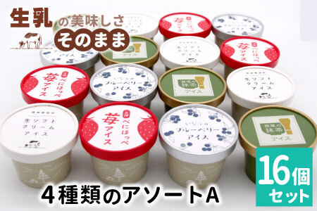 4種類のアソート A　16個入り アイスクリーム アイス 生ソフト ブルーベリー 稲武 紅ほっぺ 苺 いちご 紅ほっぺいちご 西尾抹茶 抹茶 牛乳 アイス ミルク 10000円 10,000円