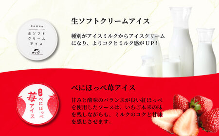 4種類のアソート A　16個入り アイスクリーム アイス 生ソフト ブルーベリー 稲武 紅ほっぺ 苺 いちご 紅ほっぺいちご 西尾抹茶 抹茶 牛乳 アイス ミルク 10000円 10,000円