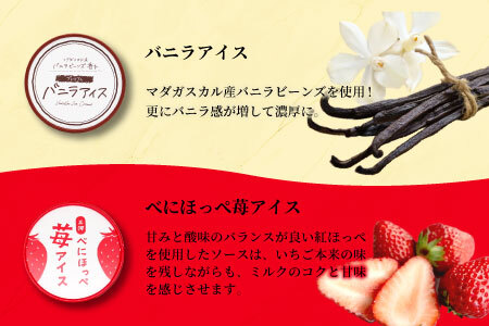 4種類のアソート B　16個入り アイスクリーム アイス バニラ マダガスカル産 ブルーベリー 稲武 紅ほっぺ 苺 いちご 紅ほっぺいちご 西尾抹茶 抹茶 牛乳 アイス ミルク 10000円 10,000円