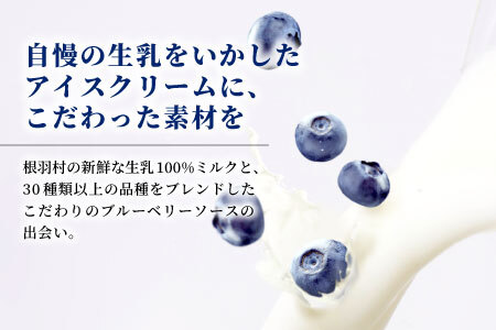 無農薬！皮ごと使用！30品種をブレンドした ブルーベリー アイス×7個入り アイスクリーム ブルーベリー スイーツ