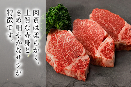 信州高原和牛 黒毛和牛 ステーキ食べ比べセット900ｇ ロースステーキ ヒレステーキ サーロインステーキ ステーキ 和牛 黒毛和牛 キャンプ バーベキュー 食べ比べ 肉 牛肉 国産 霜降り 贅沢 赤身 ヒレ