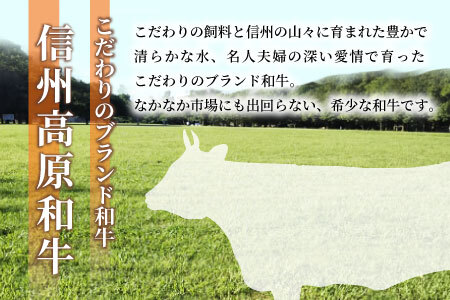 信州高原和牛 ミンチ 1kg (500g×2) 国産黒毛和牛 ハンバーグ