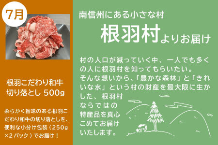 【2026年1月～定期便】全4回 人気の返礼品が大集合★ 人気 定期便 限定 黒毛和牛 切り落とし アイスクリーム たい焼き 味付け揚げ　揚げ カレー 醤油 牛 牛肉 和牛 粒あん つぶ バニラ ミルク おつまみ おかず