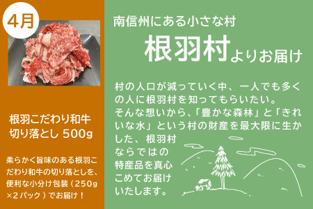 【2026年1月～定期便】全4回 人気の返礼品が大集合★ 人気 定期便 限定 黒毛和牛 切り落とし アイスクリーム たい焼き 味付け揚げ　揚げ カレー 醤油 牛 牛肉 和牛 粒あん つぶ バニラ ミルク おつまみ おかず