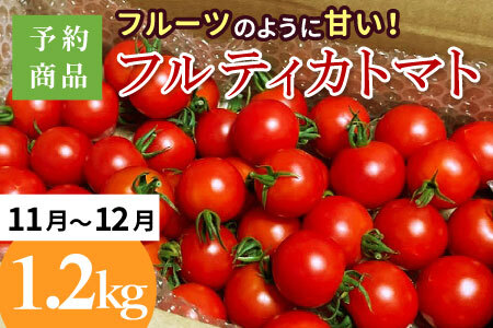 予約品※2025年11月～12月発送★フルーツのように甘い フルティカトマト 1.2kg 令和7年度産 ※予約商品※ 割れ保障付 毎年大人気！早いもの勝ち！ 数量限定 トマト 中玉 フルーツ フルーツトマト トマト ミニトマト 5000円 5,000円