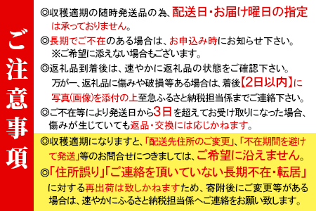予約品※2025年11月～12月発送★フルーツのように甘い フルティカトマト 1.2kg 令和7年度産 ※予約商品※ 割れ保障付 毎年大人気！早いもの勝ち！ 数量限定 トマト 中玉 フルーツ フルーツトマト トマト ミニトマト 5000円 5,000円