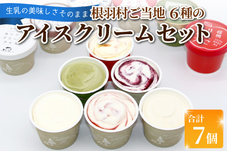 根羽村 ご当地６種のアイスクリームセット 7個 生ソフトクリームアイス バニラアイス 西尾抹茶 抹茶 りんご 紅ほっぺ いちご 苺アイス ブルーベリー フレーバー 詰め合わせ 5,000円 