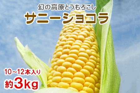 ※予約品※2026年7月中旬から8月上旬の収穫適宜発送★ 幻の高原とうもろこし サニーショコラ 約3kg（10本～12本入）限定 とうもろこし トウモロコシ 大人気 9000円 9,000円 令和8年度産 野菜
