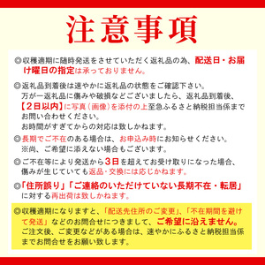 先行予約※2026年5月～6月発送★フルーツのように甘い フルティカトマト 2kg 令和8年度産 ※予約商品※ 割れ保障付 毎年大人気！早いもの勝ち！ 数量限定 トマト 中玉 フルーツ フルーツトマト トマト ミニトマト