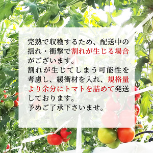 先行予約※2026年5月～6月発送★フルーツのように甘い フルティカトマト 2kg 令和8年度産 ※予約商品※ 割れ保障付 毎年大人気！早いもの勝ち！ 数量限定 トマト 中玉 フルーツ フルーツトマト トマト ミニトマト