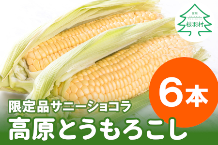 予約分7月下旬収穫 軽井沢産高原野菜 おひさまコーン とうもろこし 10本送料込
