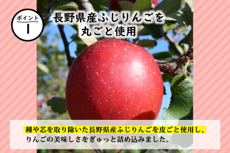 12月発送★長野県産ふじりんごを丸ごと使用！ 信州りんごアイス 8個セット