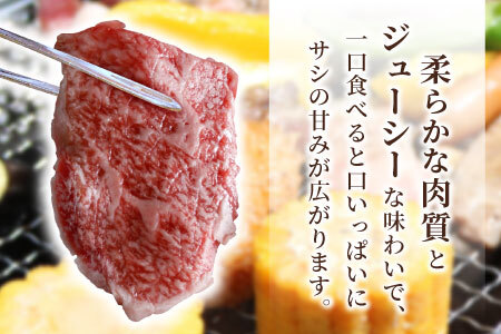 信州高原和牛 焼肉用 盛り合わせ 800g (400g×2) モモ カタ バラ 国産黒毛和牛