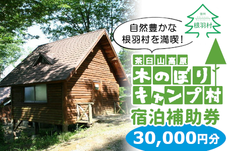 木のぼりキャンプ村 宿泊補助券 (30,000円分) キャンプ場 旅行 キャンプ