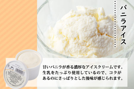 12月発送★「濃厚」「さっぱり」を食べ比べ！生ソフトクリームアイス＆バニラアイスクリーム 16個セット