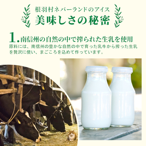 南信州根羽村産 新鮮な生乳を使用！アイス詰め合わせ 16個セット (4種類×4個)