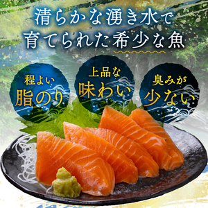 絶品!信州サーモン 切り身 刺身用 約120g × 2パック 計約240g