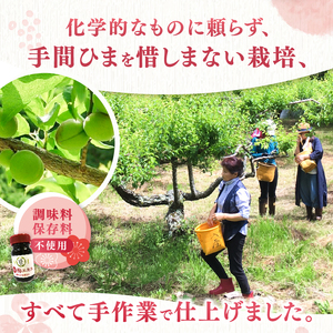 梅エキス 10ml 3本セット |  梅 梅エキス 濃縮 健康 無農薬 長野県 南信州 天龍村 