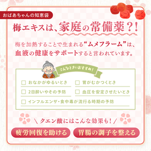 梅エキス 10ml 3本セット |  梅 梅エキス 濃縮 健康 無農薬 長野県 南信州 天龍村 