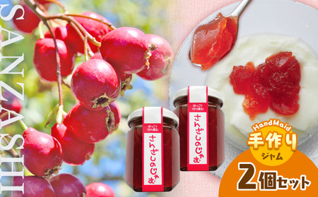 【女性に大好評!】さんざしのじゃむ 2個セット|ジャム・フルーツ・ジュレ・加工品・瓶詰 セット 長野県 天龍 てんりゅう