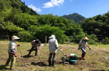 芳醇☆天龍えごま油　1本 | 健康食品 調味料 油 えごま油 えごま 生搾り免疫力アップ 長野県 南信州 天龍村 えごま油 えごま油 えごま油 えごま油 えごま油 えごま油 えごま油 えごま油 えごま油 えごま油 えごま油 えごま油 えごま油 えごま油 えごま油 えごま油 えごま油 えごま油 えごま油 えごま油 えごま油 えごま油 えごま油 えごま油 えごま油 えごま油 えごま油 えごま油 えごま油 えごま油 えごま油