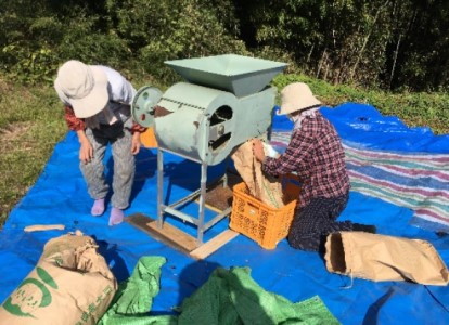 芳醇☆天龍えごま油　1本 | 健康食品 調味料 油 えごま油 えごま 生搾り免疫力アップ 長野県 南信州 天龍村 えごま油 えごま油 えごま油 えごま油 えごま油 えごま油 えごま油 えごま油 えごま油 えごま油 えごま油 えごま油 えごま油 えごま油 えごま油 えごま油 えごま油 えごま油 えごま油 えごま油 えごま油 えごま油 えごま油 えごま油 えごま油 えごま油 えごま油 えごま油 えごま油 えごま油 えごま油