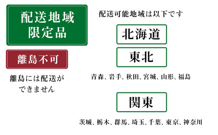 ロケットストーブ 薪ストーブ