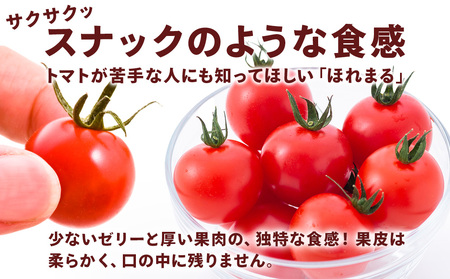 2025年先行予約】 【朝採れ最短発送！】完熟ほれまる ミニトマト1kg ミニトマト 朝採り 新鮮 生鮮 野菜 トマト 北海道ふるさと納税 |  北海道東神楽町 | ふるさと納税サイト「ふるなび」