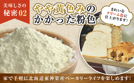 【定期便 6カ月】キタノカオリ 5kg