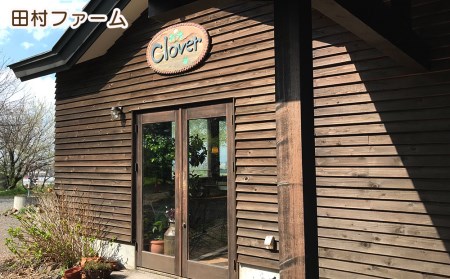 大自然の恵み~よくばりアイスセット<田村ファーム>