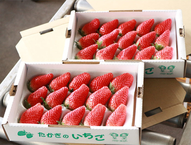 N02　喬木産　大粒いちご3箱
