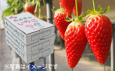 N02　喬木産　大粒いちご3箱
