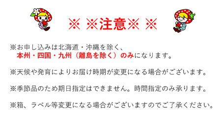 N02　喬木産　大粒いちご3箱