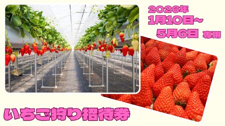 N10 喬木村いちご狩り招待券 1人分