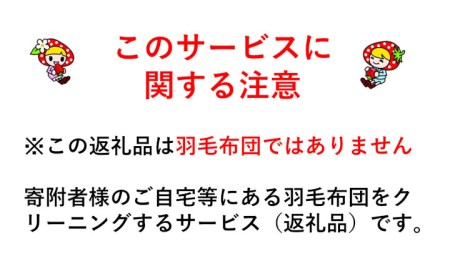 5-U04 羽毛布団丸洗いクリーニング 防ダニ加工＆保管付き（シングル2枚