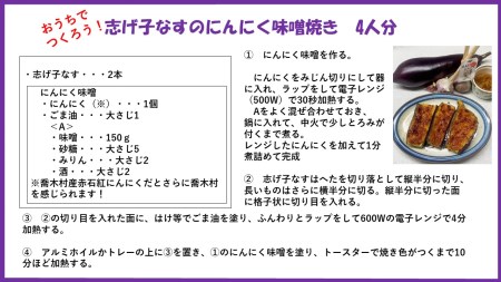 G10　信州伝統野菜　喬木村産志げ子なす4本セット