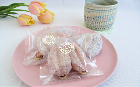 A-88【先行受付】【市田柿専門店　金の柿】白箱「秀品」450g(2個包装10袋入り)