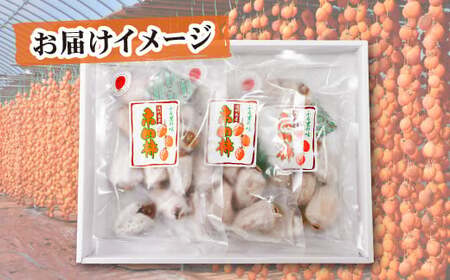 A-94 長野県南信州特産市田柿 180g×3袋セット