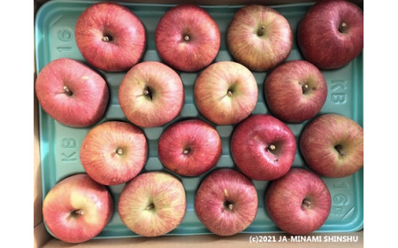 【2026年2月発送】りんご 霜待ちふじ 約5kg(10~20玉入り)