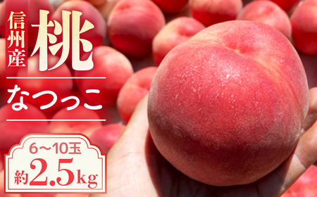 A-115【2026年発送先行予約】桃　なつっこ　約2.5kg【6～10玉】※2026年発送先行予約分※　農家直送　もも