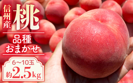 A-116【2026年発送先行予約】※品種おまかせ※　初夏の桃　約2.5kg【6～10玉】　農家直送｜もも｜桃