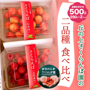 A-117【2025年6月から発送予定】さくらんぼ食べ比べセット 500g＜さくらんぼ2種入り　各250g＞　先行予約　さくらんぼ