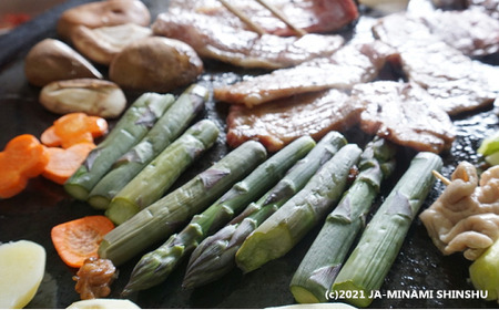 【2026年発送先行予約】春告げアスパラガス 約500ｇ（12～15本入り）※2026年4月発送予定※