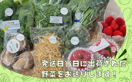 A-133【5品目以上】季節の野菜詰め合わせ